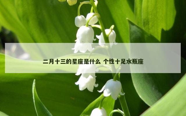 二月十三的星座是什么 个性十足水瓶座