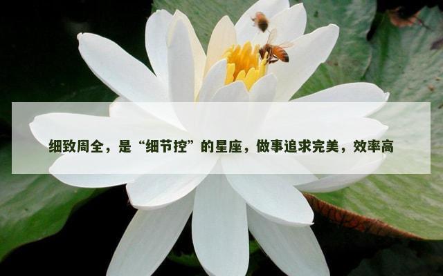 细致周全，是“细节控”的星座，做事追求完美，效率高