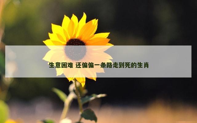 生意困难 还偏偏一条路走到死的生肖