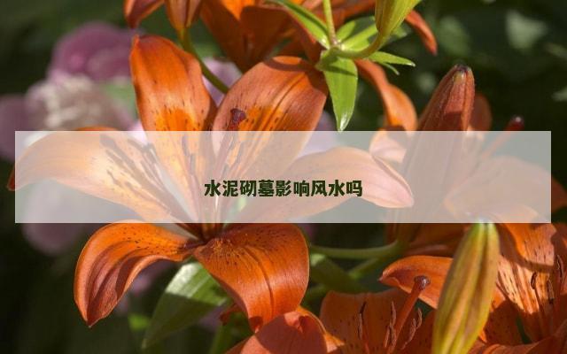 水泥砌墓影响风水吗