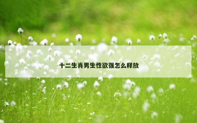 十二生肖男生性欲强怎么释放