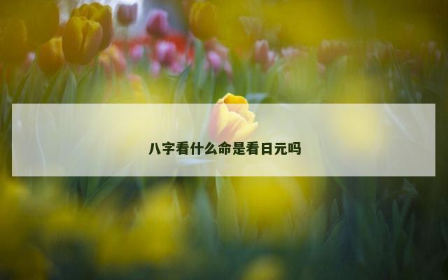 八字看什么命是看日元吗