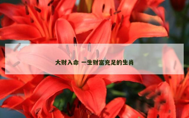 大财入命 一生财富充足的生肖