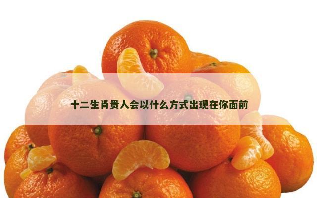 十二生肖贵人会以什么方式出现在你面前