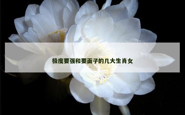 极度要强和要面子的几大生肖女