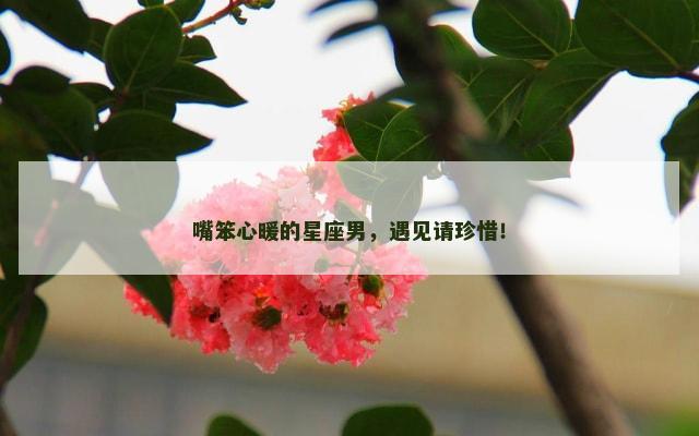 嘴笨心暖的星座男，遇见请珍惜！