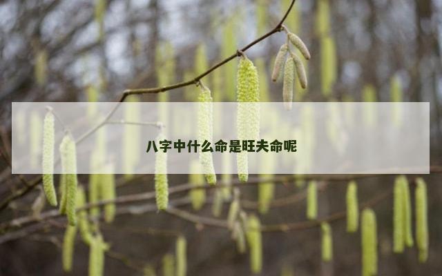 八字中什么命是旺夫命呢