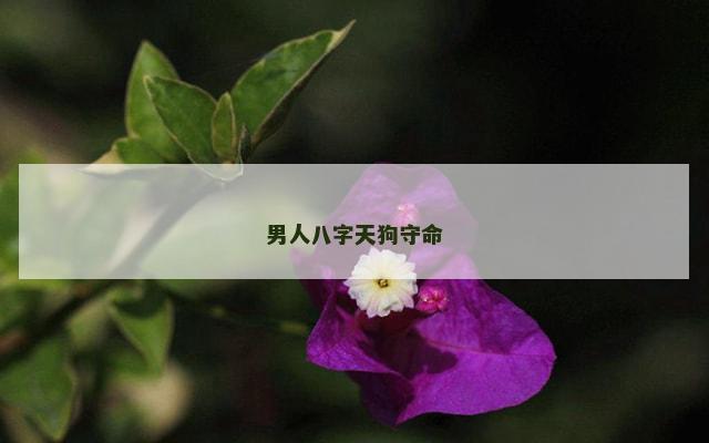 男人八字天狗守命