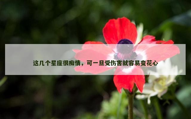 这几个星座很痴情，可一旦受伤害就容易变花心