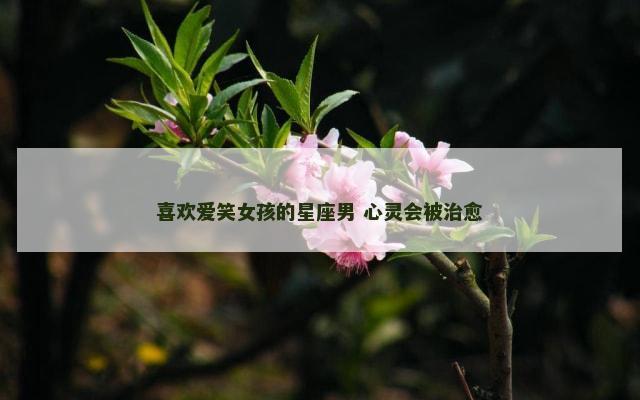 喜欢爱笑女孩的星座男 心灵会被治愈