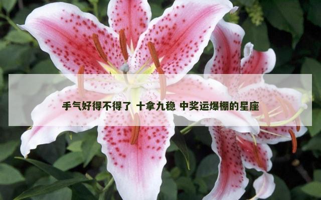 手气好得不得了 十拿九稳 中奖运爆棚的星座