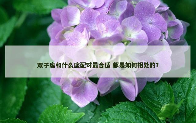 双子座和什么座配对最合适 都是如何相处的？