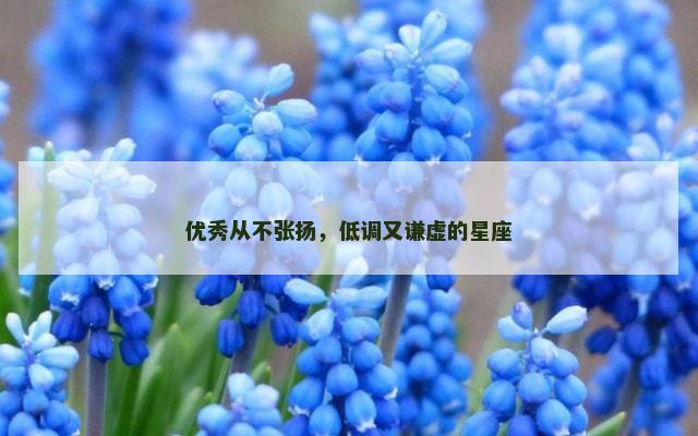 优秀从不张扬，低调又谦虚的星座