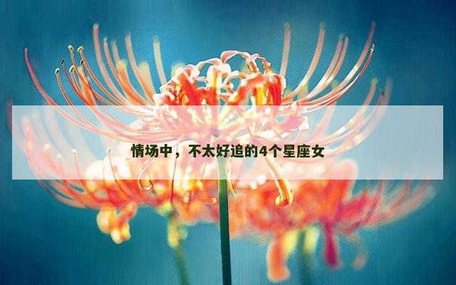 情场中，不太好追的4个星座女