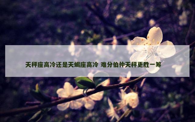 天秤座高冷还是天蝎座高冷 难分伯仲天秤更胜一筹 　　
