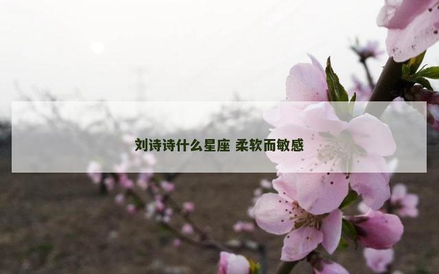 刘诗诗什么星座 柔软而敏感
