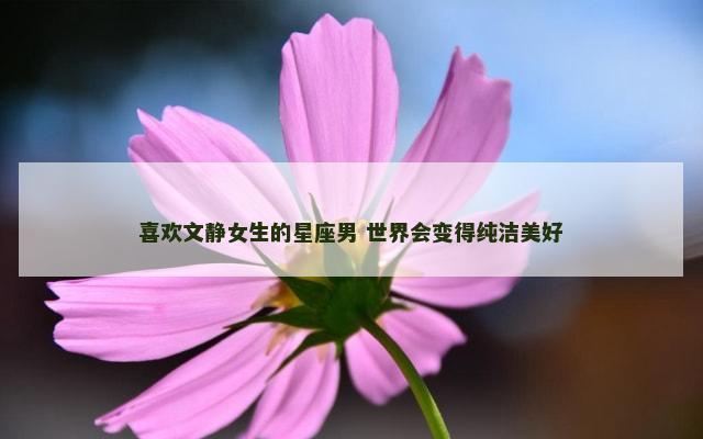 喜欢文静女生的星座男 世界会变得纯洁美好