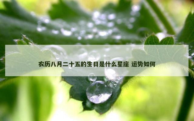 农历八月二十五的生日是什么星座 运势如何