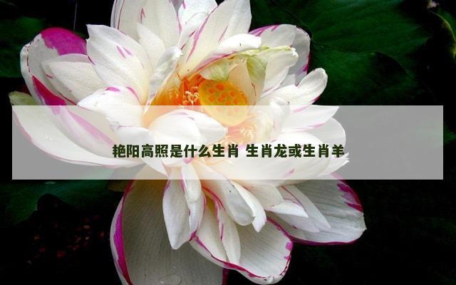 艳阳高照是什么生肖 生肖龙或生肖羊