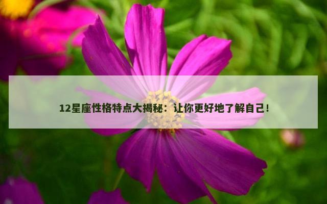 12星座性格特点大揭秘：让你更好地了解自己！