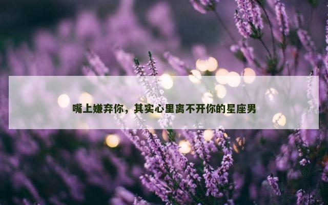 嘴上嫌弃你，其实心里离不开你的星座男