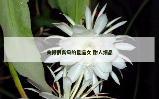 美得很高级的星座女 耐人细品