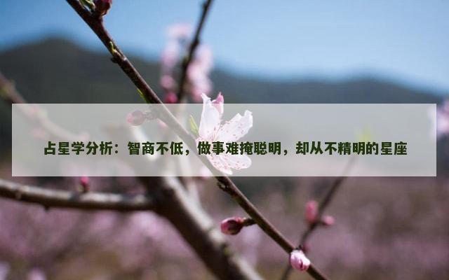 占星学分析：智商不低，做事难掩聪明，却从不精明的星座