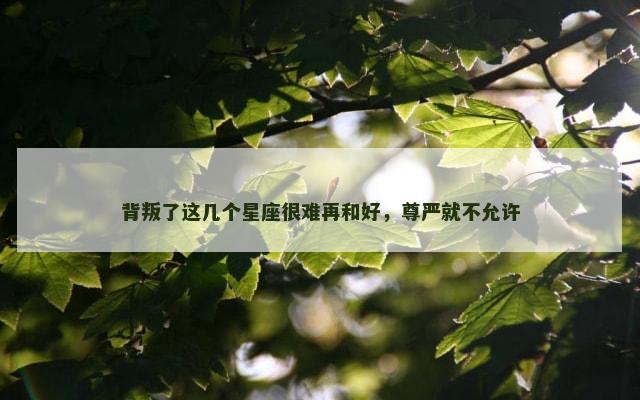 背叛了这几个星座很难再和好，尊严就不允许