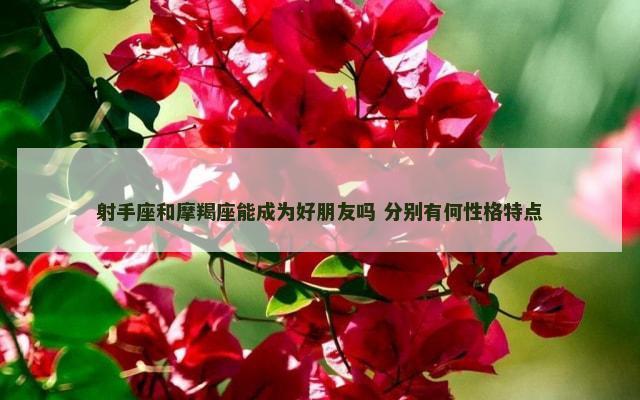 射手座和摩羯座能成为好朋友吗 分别有何性格特点