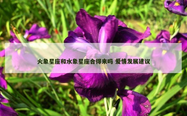 火象星座和水象星座合得来吗 爱情发展建议