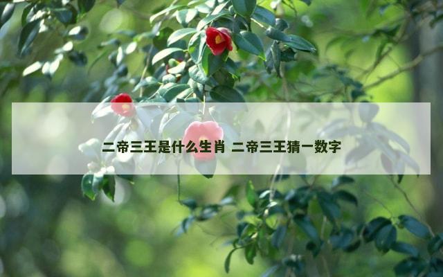 二帝三王是什么生肖 二帝三王猜一数字