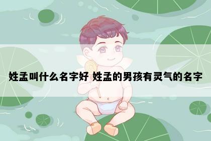 姓孟叫什么名字好 姓孟的男孩有灵气的名字