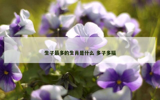 生子最多的生肖是什么 多子多福