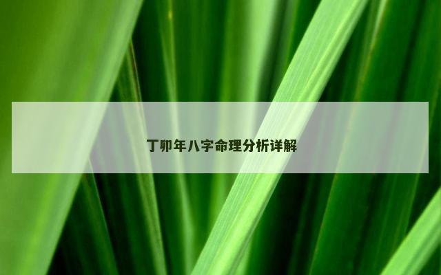 丁卯年八字命理分析详解