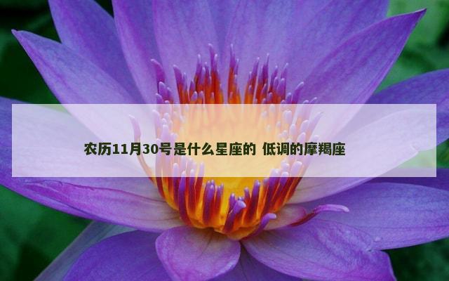 农历11月30号是什么星座的 低调的摩羯座 　　