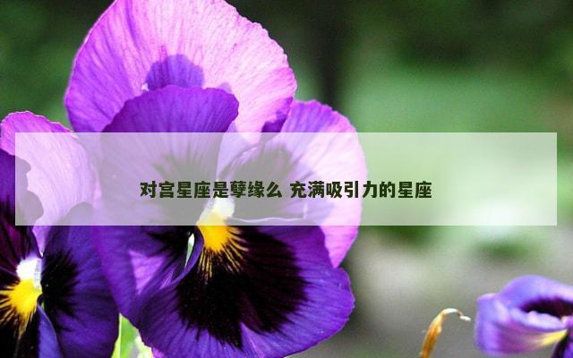 对宫星座是孽缘么 充满吸引力的星座