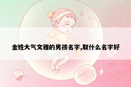 金姓大气文雅的男孩名字,取什么名字好