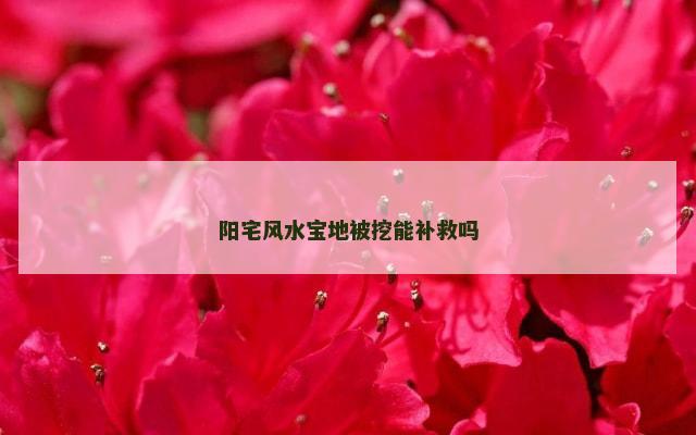 阳宅风水宝地被挖能补救吗