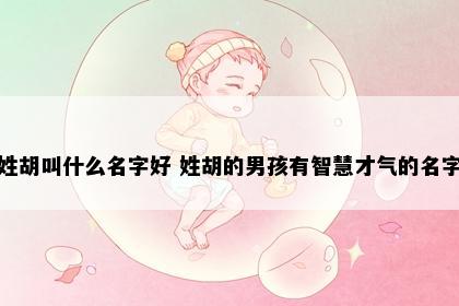 姓胡叫什么名字好 姓胡的男孩有智慧才气的名字