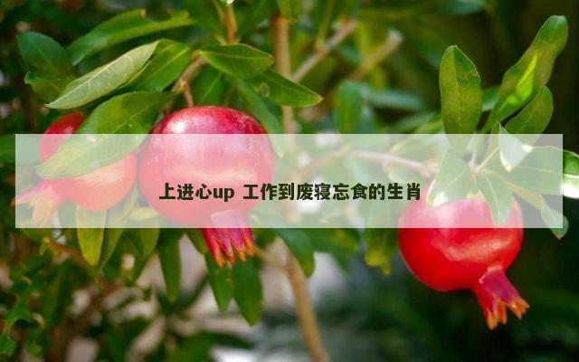 上进心up 工作到废寝忘食的生肖