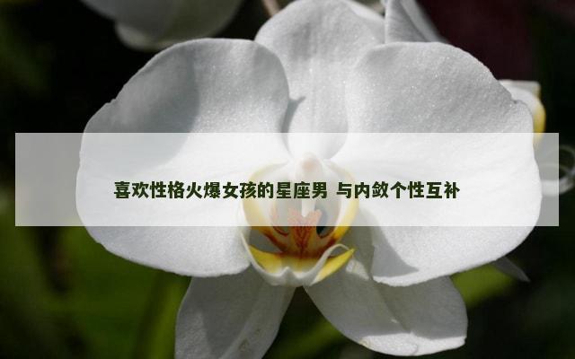 喜欢性格火爆女孩的星座男 与内敛个性互补