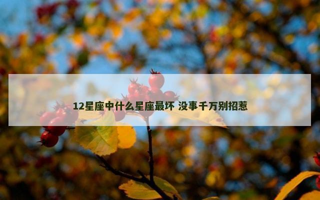 12星座中什么星座最坏 没事千万别招惹