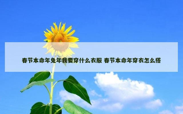 春节本命年兔年我要穿什么衣服 春节本命年穿衣怎么搭