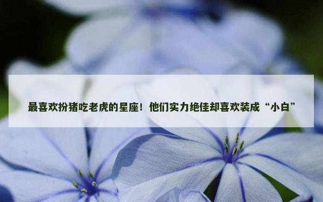 最喜欢扮猪吃老虎的星座！他们实力绝佳却喜欢装成“小白”