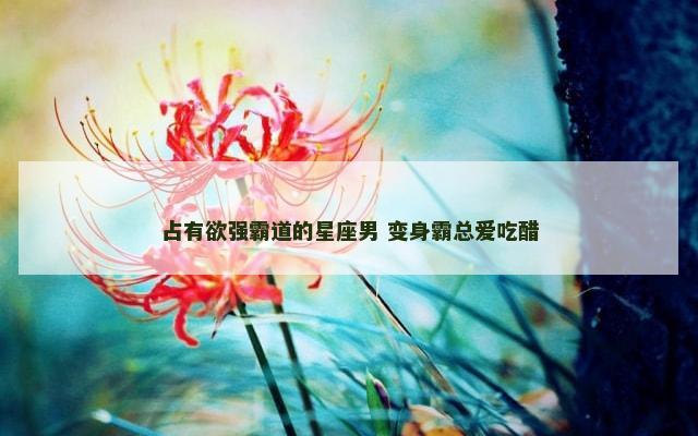 占有欲强霸道的星座男 变身霸总爱吃醋