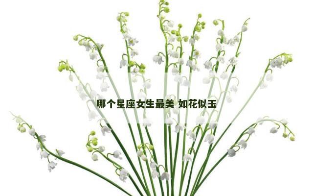 哪个星座女生最美 如花似玉
