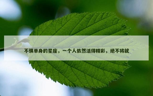 不惧单身的星座，一个人依然活得精彩，绝不将就