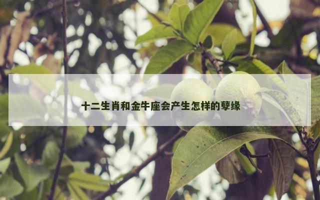 十二生肖和金牛座会产生怎样的孽缘