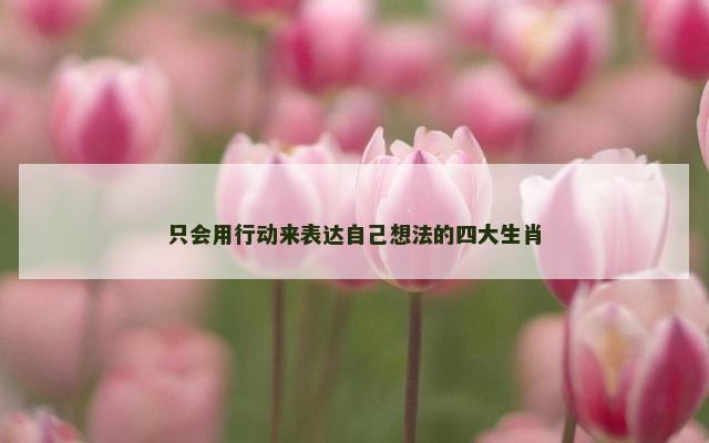 只会用行动来表达自己想法的四大生肖