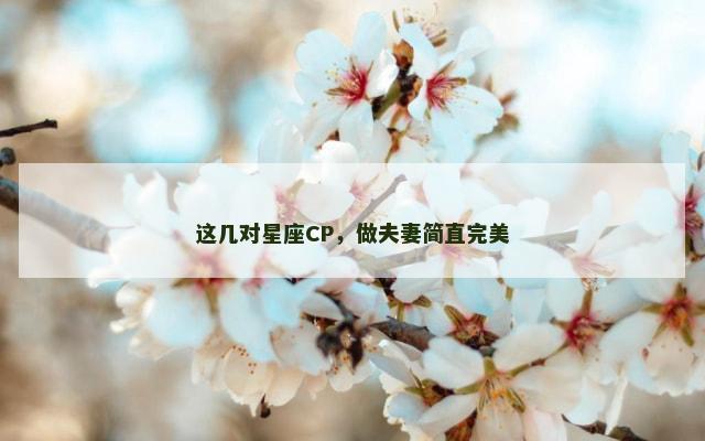 这几对星座CP，做夫妻简直完美